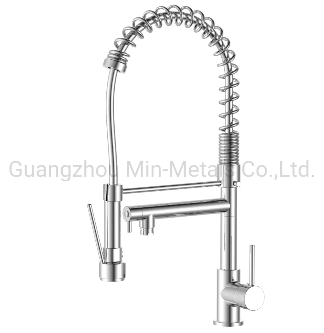 Sanitary Ware Spring Sink Mixer Pull out 3 Way Drinking Water Kitchen Faucet